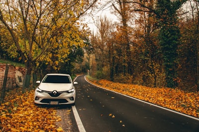 2021 Renault Clio — Hybrid, Automatic